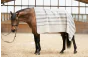 Trolle Faded Stripe Wool Blanket Grå